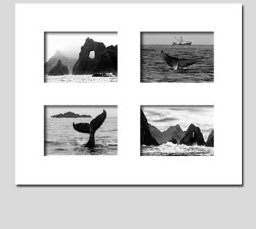 Collage picture mat set